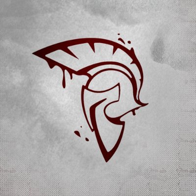 XI ESPORT's profile picture