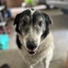 manny's profile picture