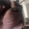 user's profile picture