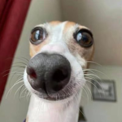Matt's profile picture