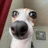 Matt's profile picture