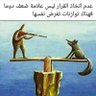 Profilbild von Ibrahim Hano