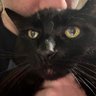 Profilbild von Sam