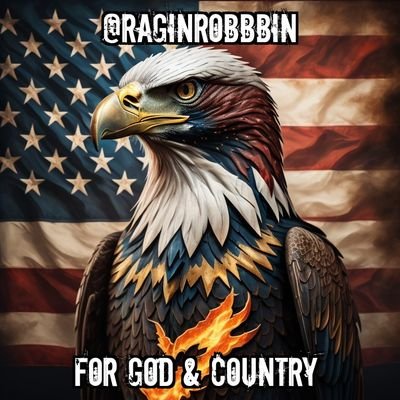 raginrobbbin's profile picture