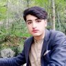حفیظ نیازی 的头像