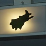 Nynke's profile picture