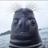 Profilbild von Olav أولاڤ 🔻
