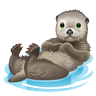 Lontra Palmeirense 的头像