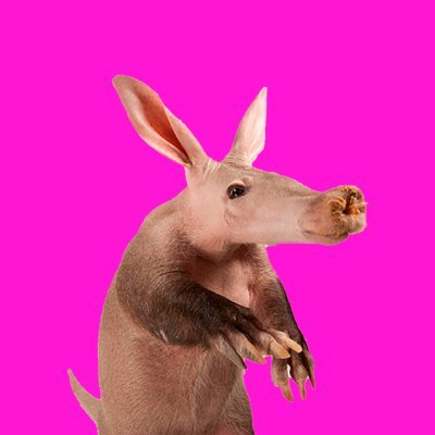 Aardvark's profile picture