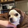 やまりょう's profile picture