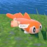 べぇいこん　エンジョイ勢's profile picture