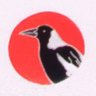 Profilbild von Lady Magpie