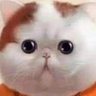 ฉันเป็นแมวหง่าว's profile picture