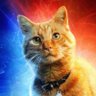 Profilbild von M