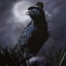 No time to die's profile picture
