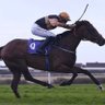 Boltup racing's profile picture
