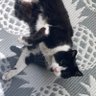 flipiflop56 profil fotoğrafı