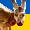 Roo profil fotoğrafı