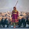 Фото профиля Shah Wazir