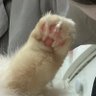 Profilbild von หน่องปัน