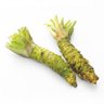 Profilbild von wasabi