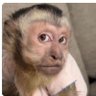 Robert964's profile picture