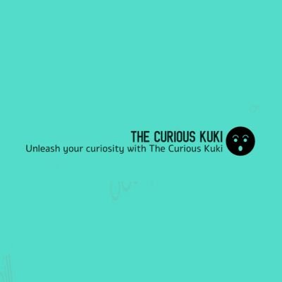 CuriousKuki's profile picture