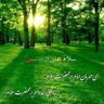 fatemehalinaghi 的头像