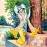 Sudarshan chy 的头像