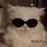 Ishaaan (✸,✸)'s profile picture