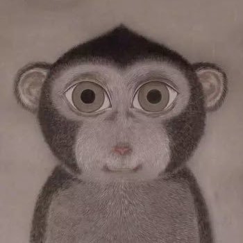 Rodinguste's profile picture