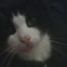 Profilbild von 420MIKEFIEND