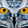 Profilbild von Wodenshot