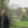 Profilbild von mosalman