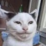 THE_Dudle's profile picture