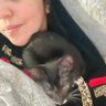 Lita zalazar🏳️🌈🇦🇷 profil fotoğrafı