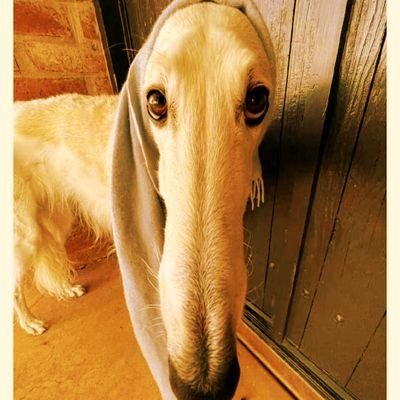 我不是三人水's profile picture