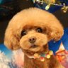 Profilbild von うーたん