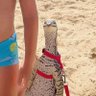 Jaime ham's profile picture