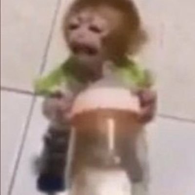 maju's profile picture