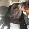 Фото профиля PRETTYDICKTAYSKI🍆