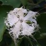 Фото профиля ぴょんきち