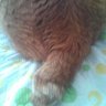 まーたん profil fotoğrafı