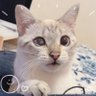 Profilbild von ちまき