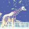 Фото профиля はしら けい