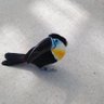 misshi🐧🐧🐧 的头像