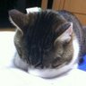 もなな 的头像