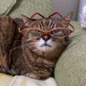 松井晋 profil fotoğrafı