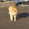 ãŸããœã profil fotoÄrafı