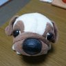 ゆう's profile picture